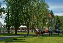 Od malih obiteljskih hotela do velikih premium doživljaja